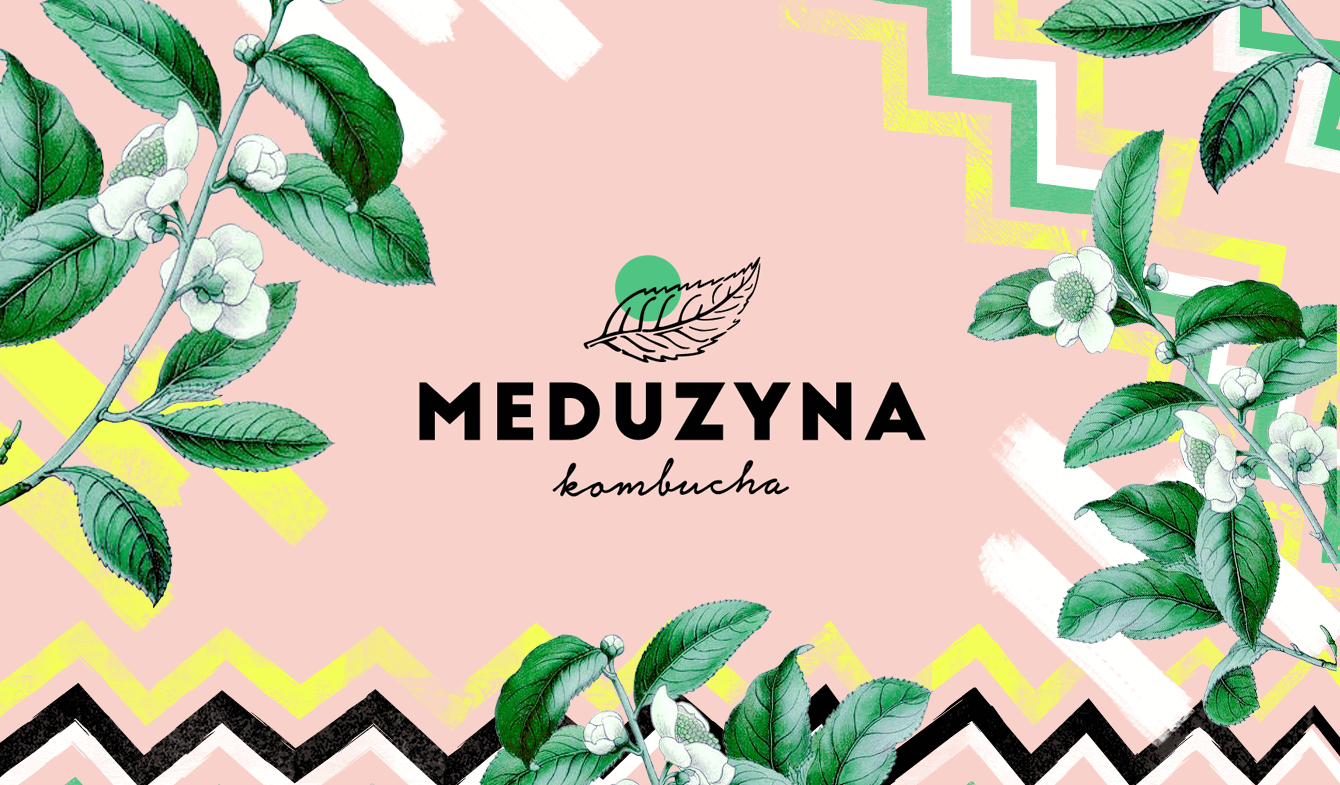 Meduzyna logo_ZMS 2